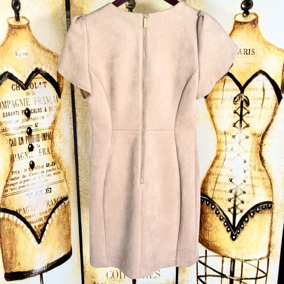 Calvin Klein Neutral Taupe Mini Dress – Elegant Puff Sleeves (S) - Picture 2 of 2